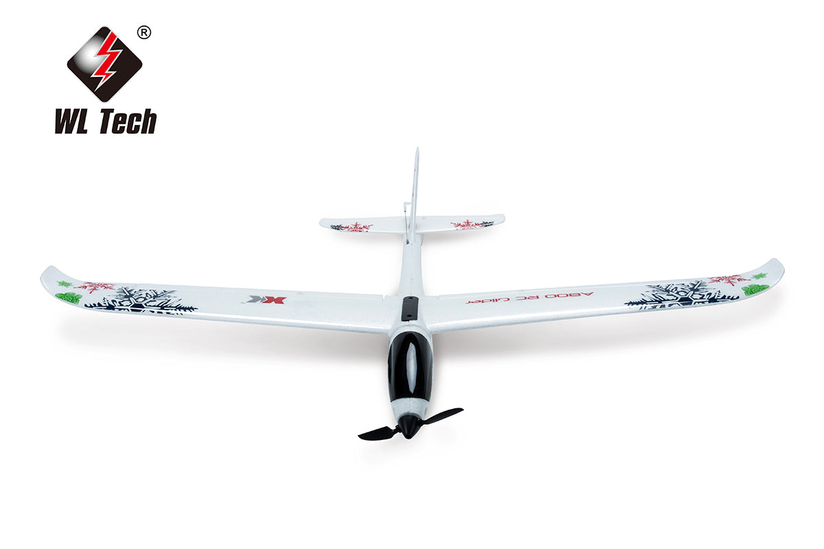 The A800 RC plane