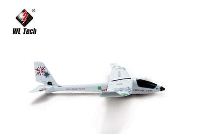 The A800 RC plane