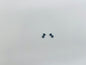 D43 Pivot ball(2) D43014