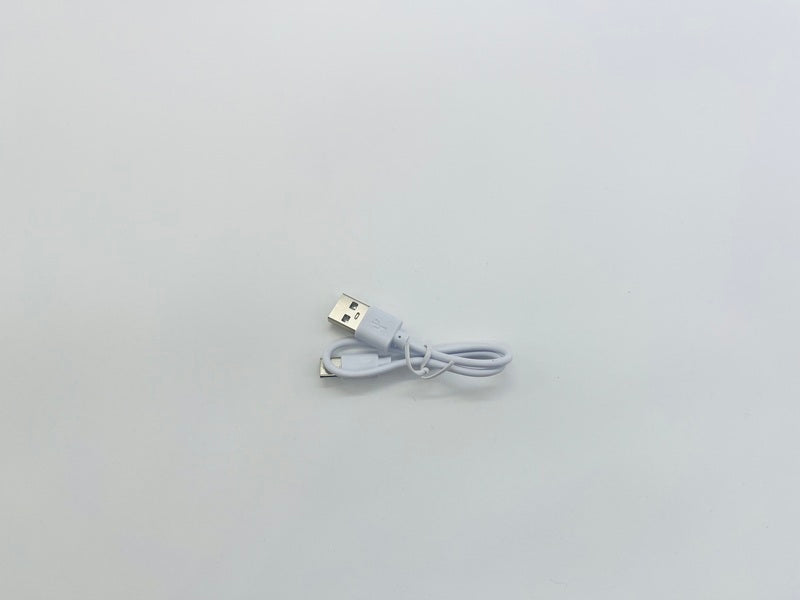 D43 USB charger D43030