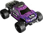 RADD 1/18 RTR Monster Truck
