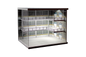 1/64 Multi-storey Car Park mini display unit RCPZT-06