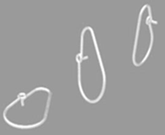 Luff ring.JPG