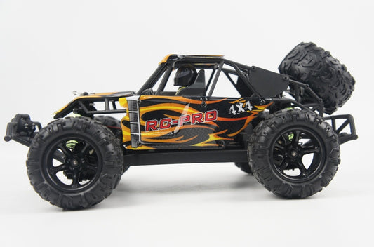 Desert Rush Brushless 59_edited.jpg