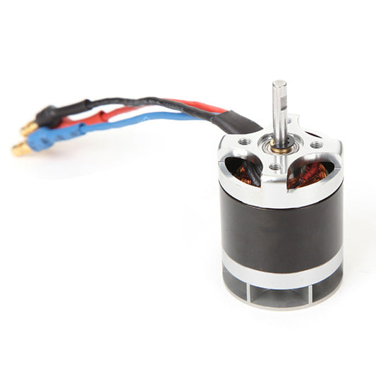 FT012 Brushless motor.jpg